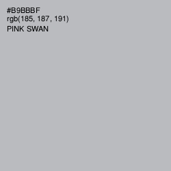 #B9BBBF - Pink Swan Color Image